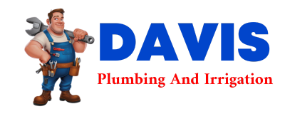 Trusted plumber in FURMAN